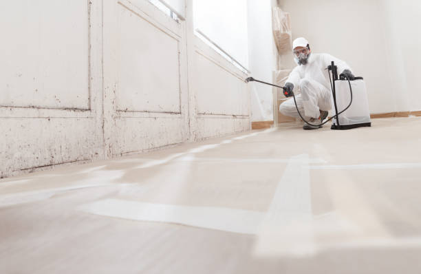 24/7 Emergency Basement Mold Removal experts in Fayetteville, PA